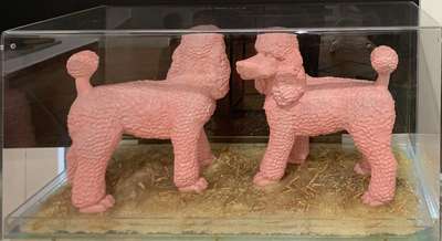 Clones: Pink Poodles - Sweetlove William